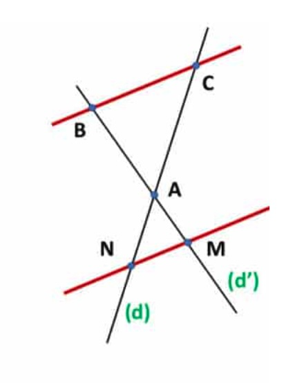 Configuration en papillon du théorème de Thalès